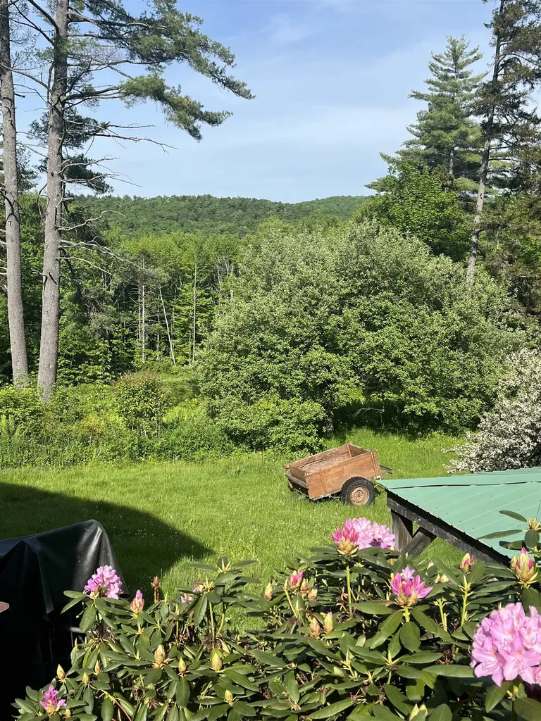 1378 Hallstrom Road Northfield VT 05663