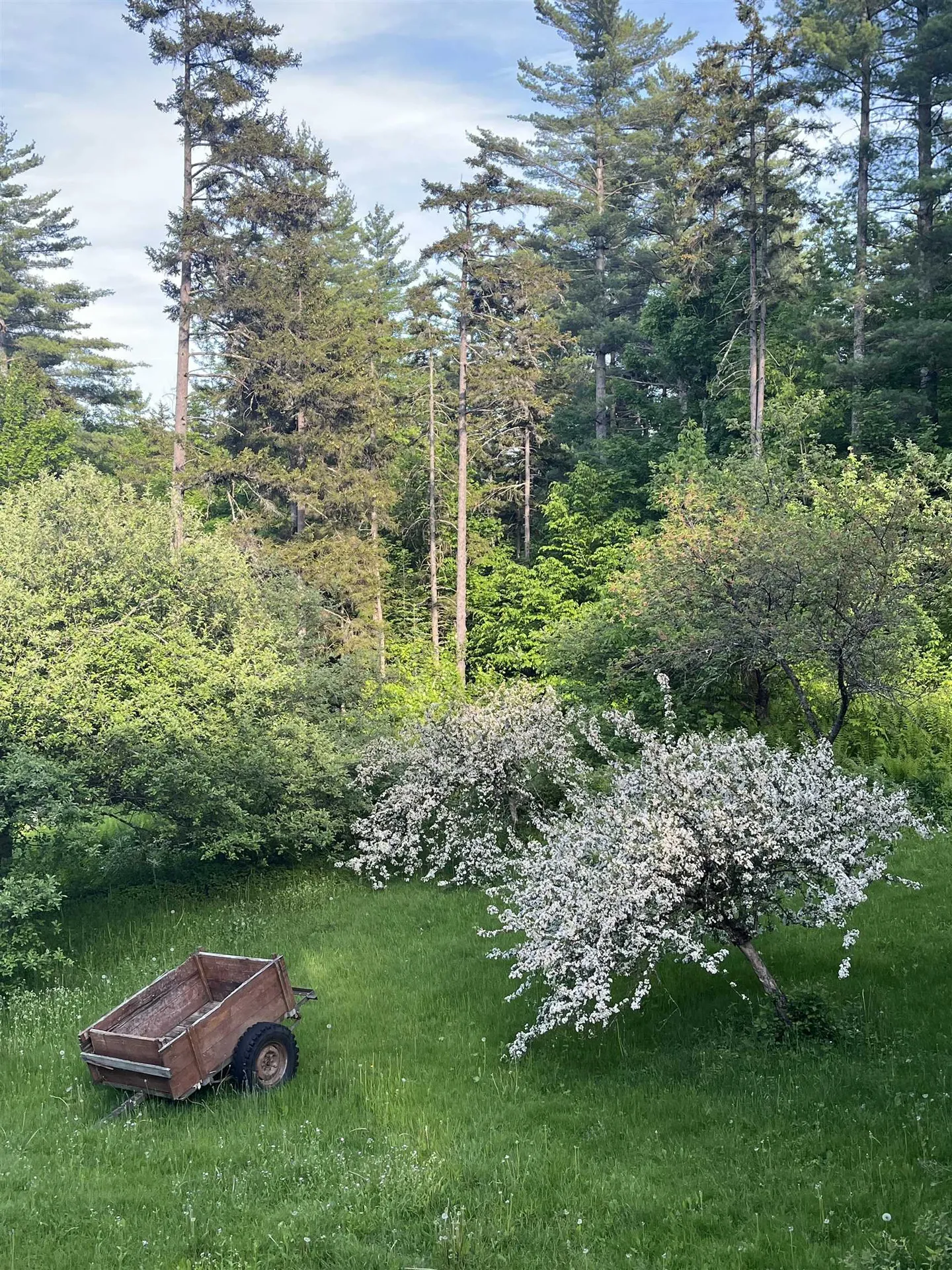 1378 Hallstrom Road Northfield VT 05663