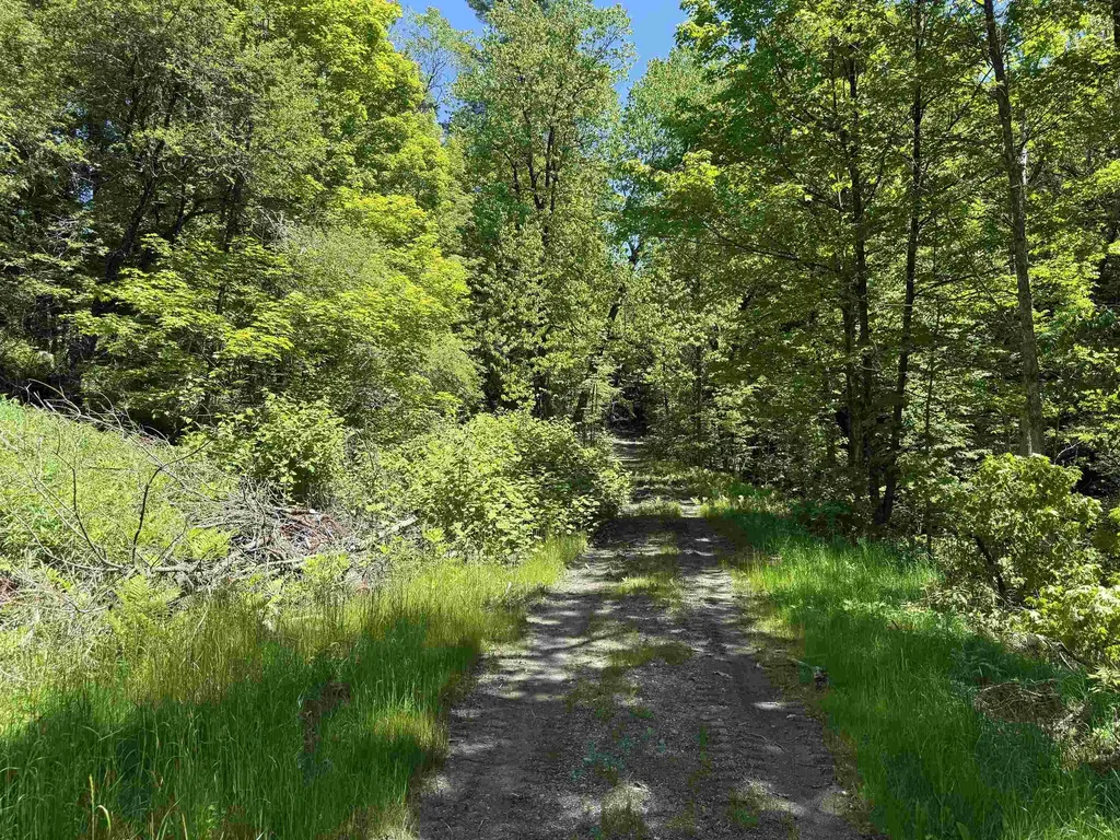 169 Sherman Street Fairfield VT 05455
