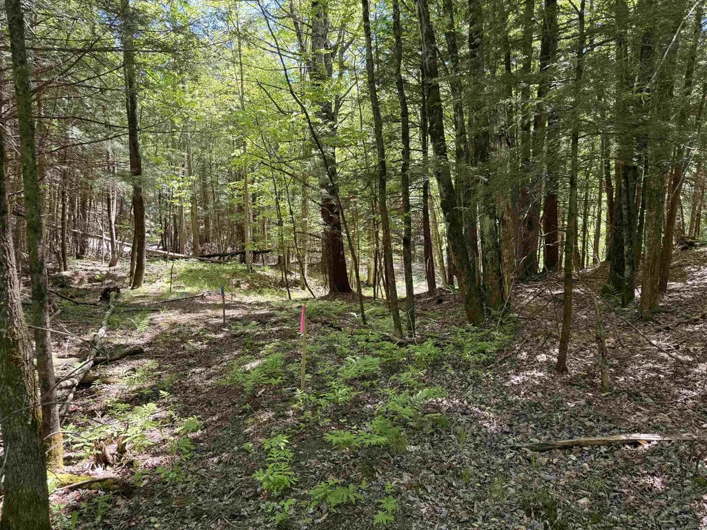 169 Sherman Street Fairfield VT 05455