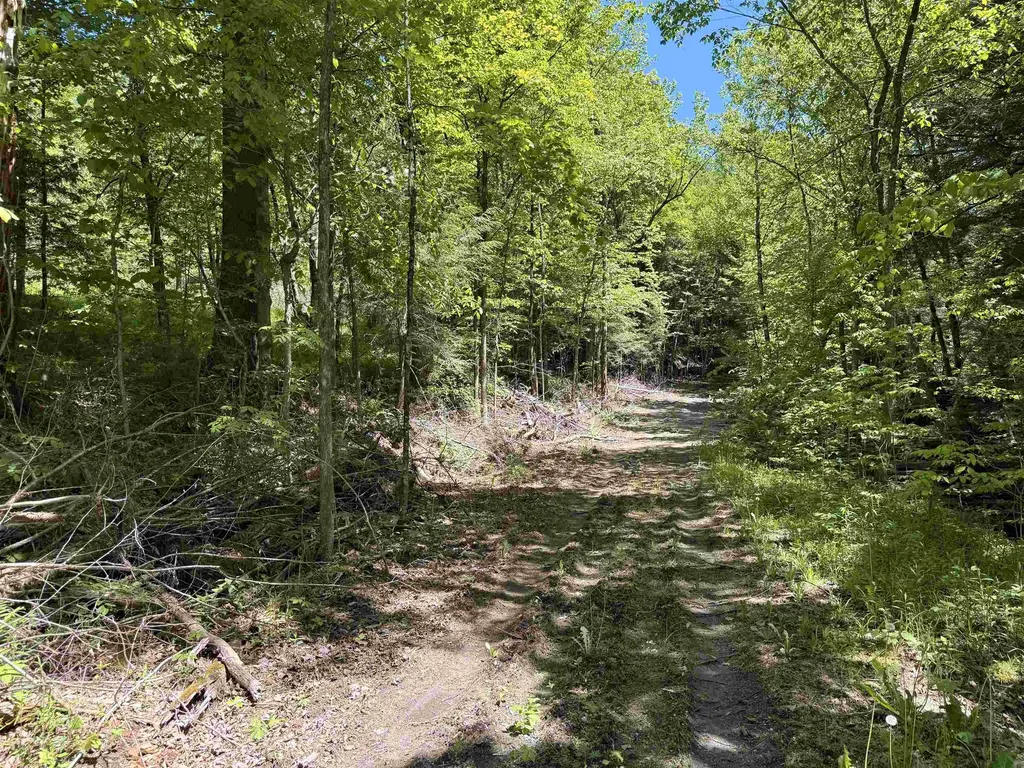 169 Sherman Street Fairfield VT 05455