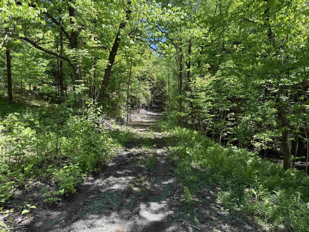 169 Sherman Street Fairfield VT 05455