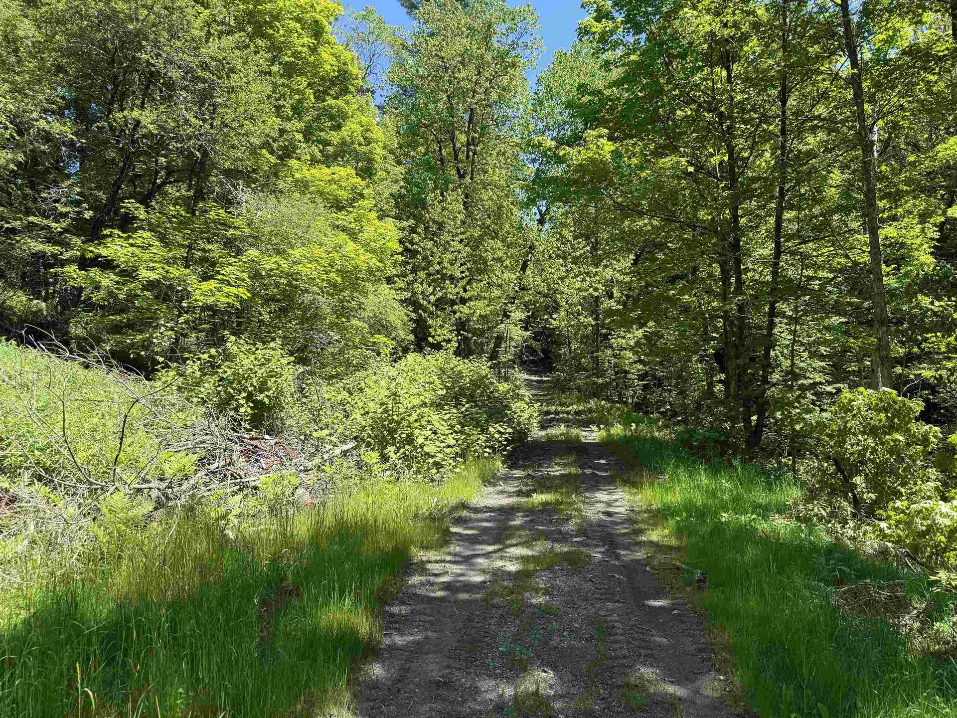 169 Sherman Street Fairfield VT 05455