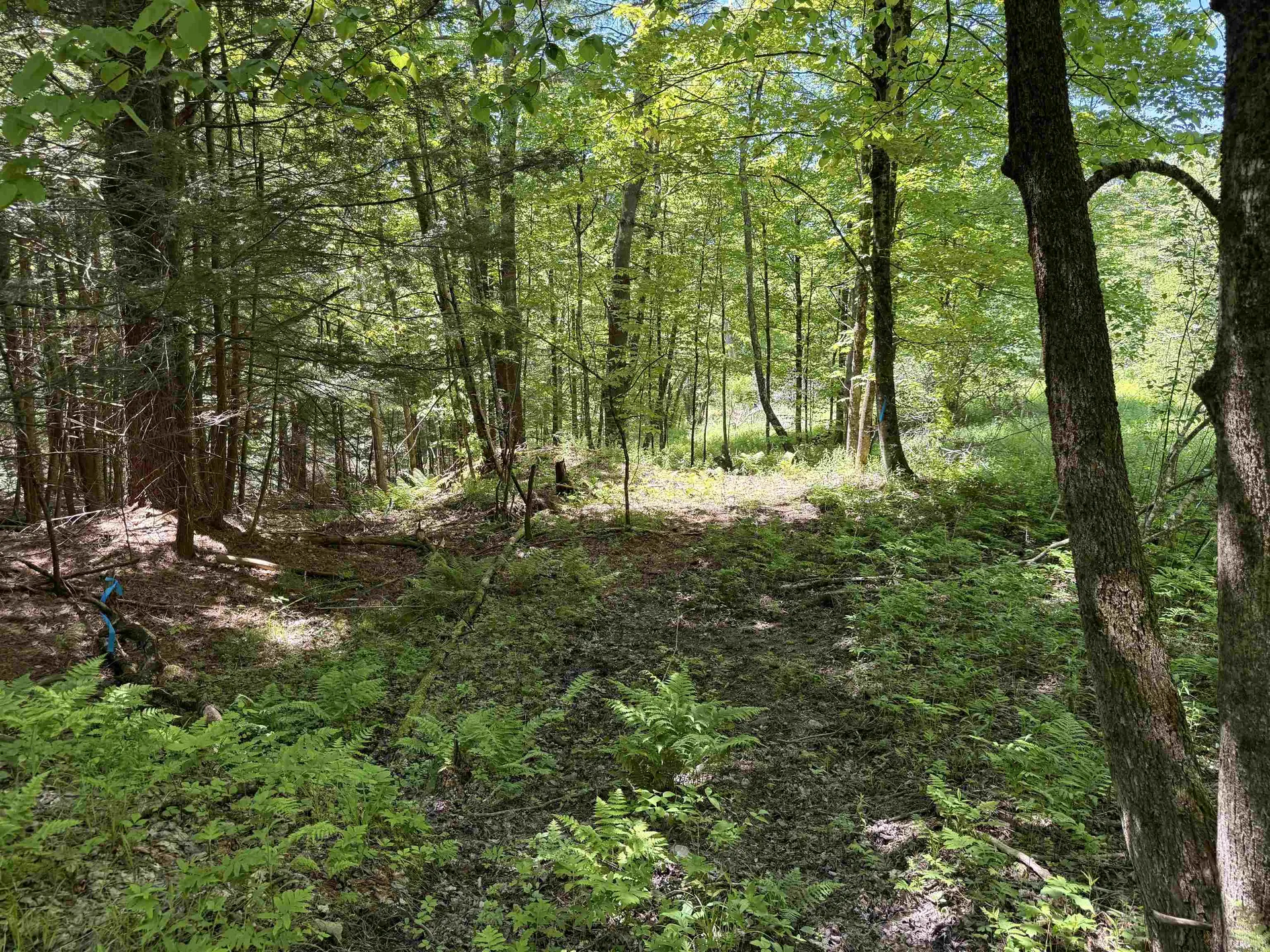 169 Sherman Street Fairfield VT 05455