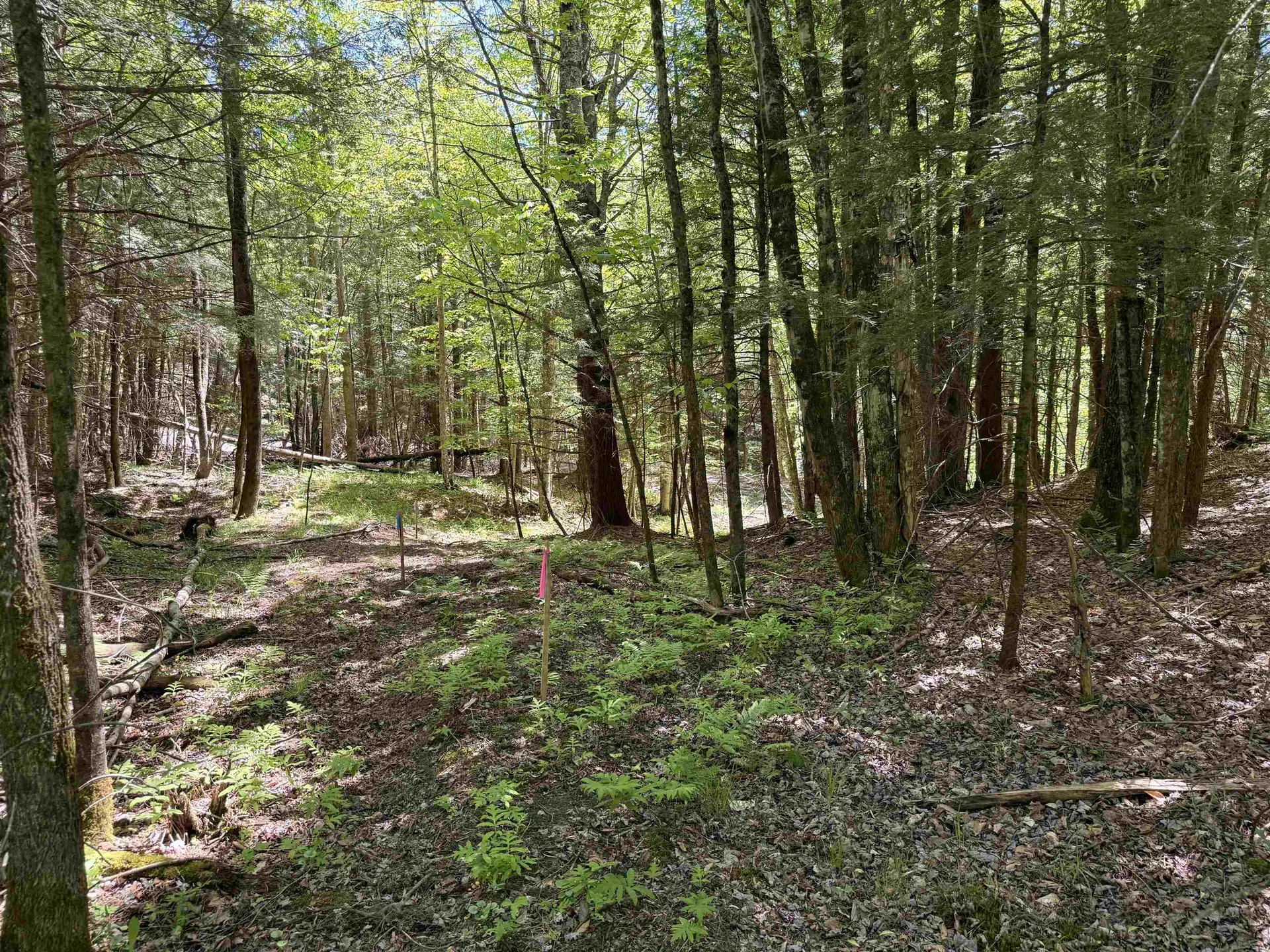 169 Sherman Street Fairfield VT 05455