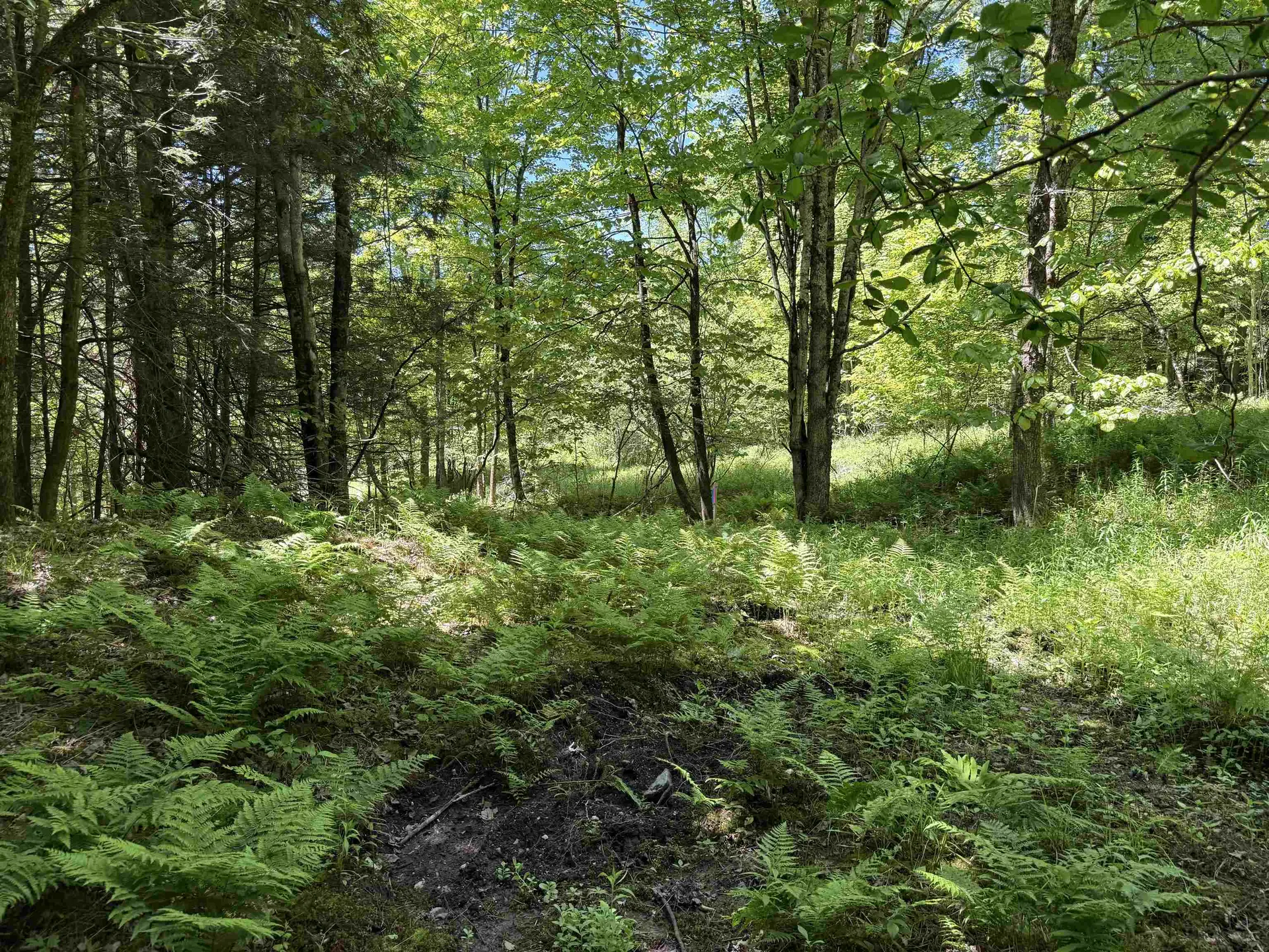 169 Sherman Street Fairfield VT 05455
