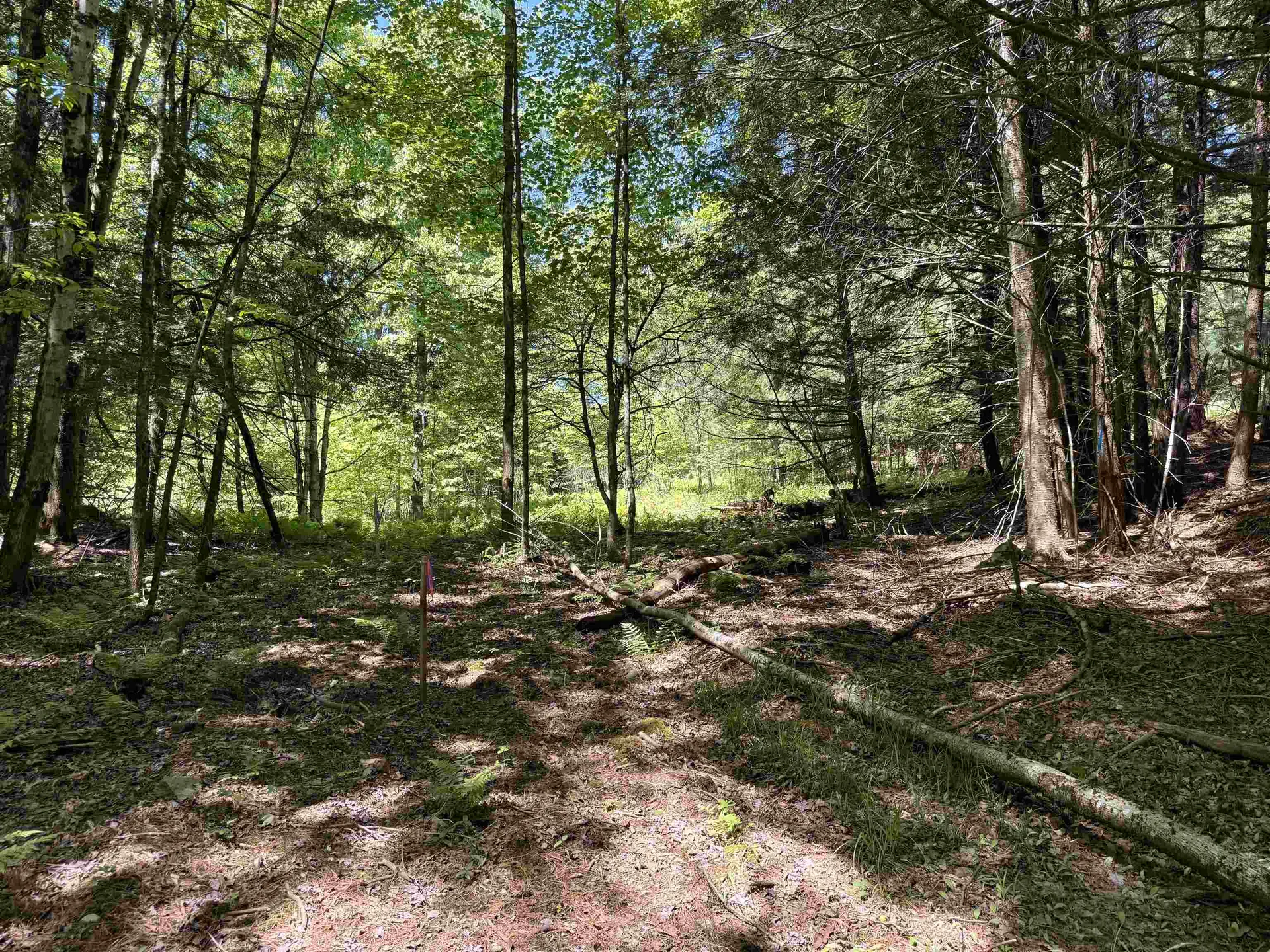169 Sherman Street Fairfield VT 05455