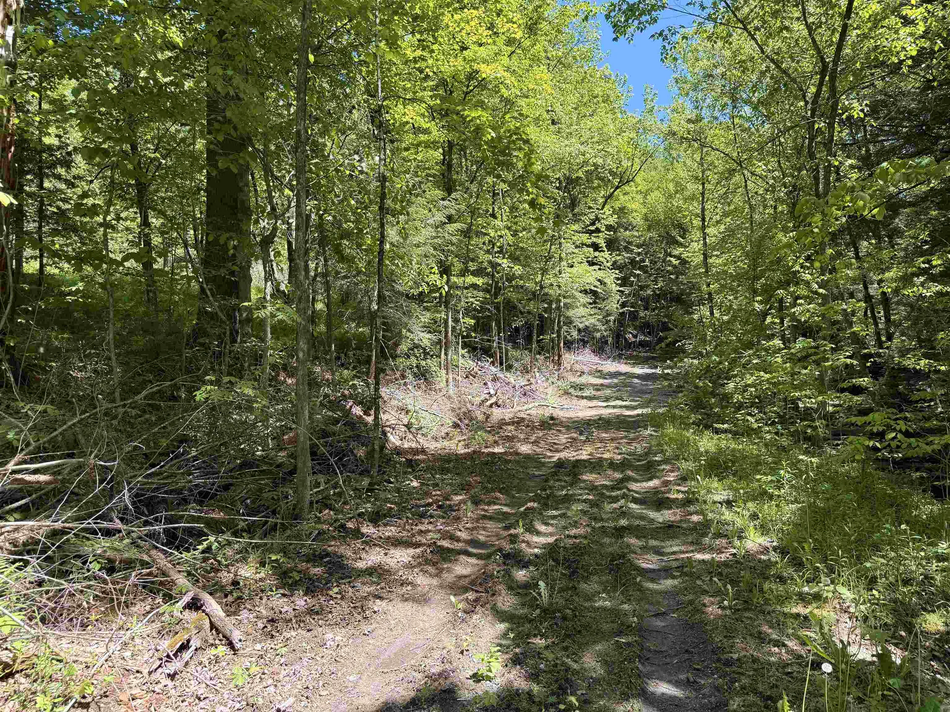 169 Sherman Street Fairfield VT 05455