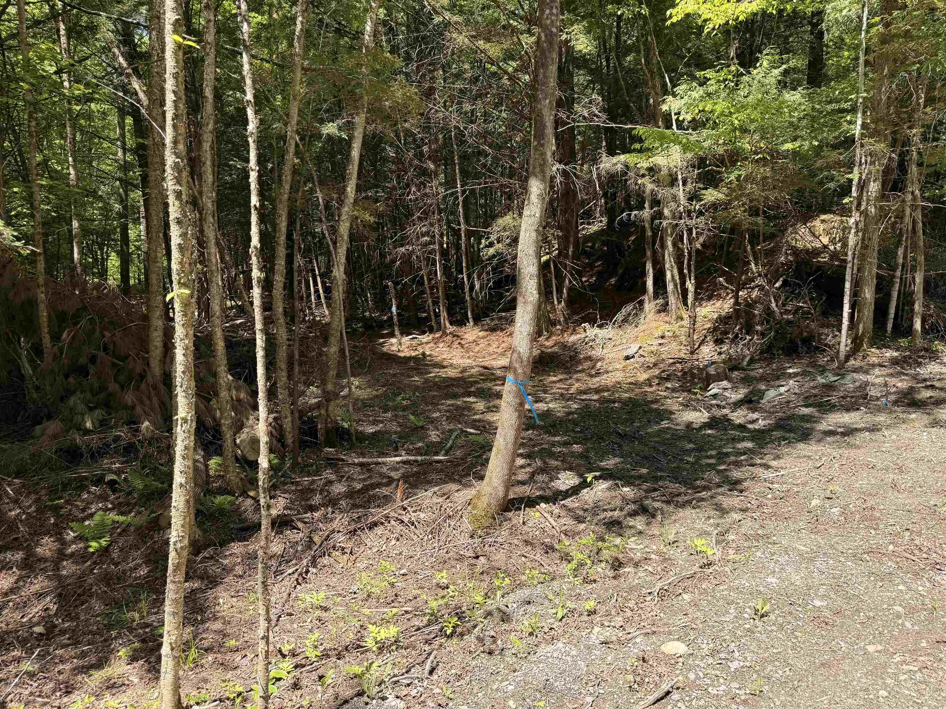 169 Sherman Street Fairfield VT 05455