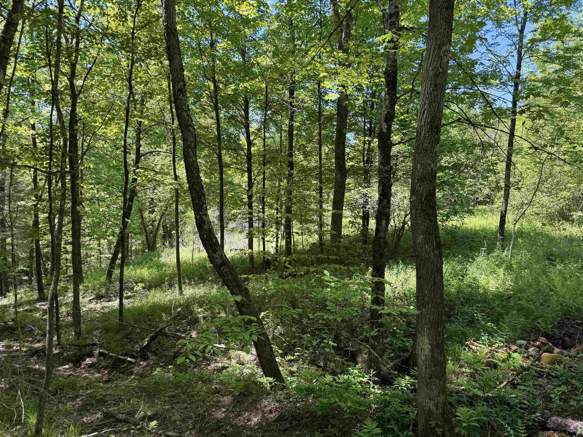 169 Sherman Street Fairfield VT 05455