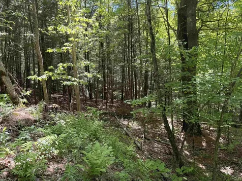 169 Sherman Street Fairfield VT 05455