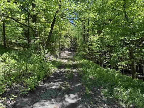 169 Sherman Street Fairfield VT 05455