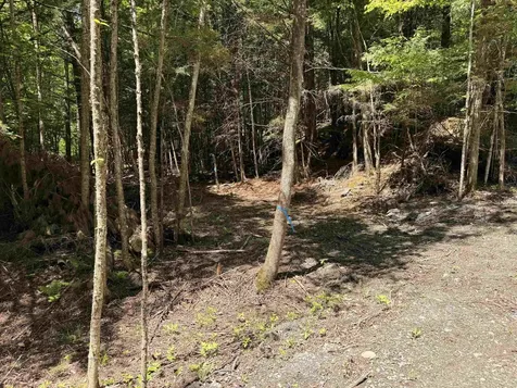 169 Sherman Street Fairfield VT 05455