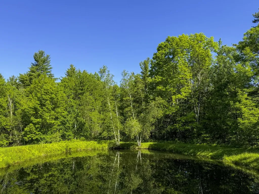 107 Bushnell Road Waitsfield VT 05673