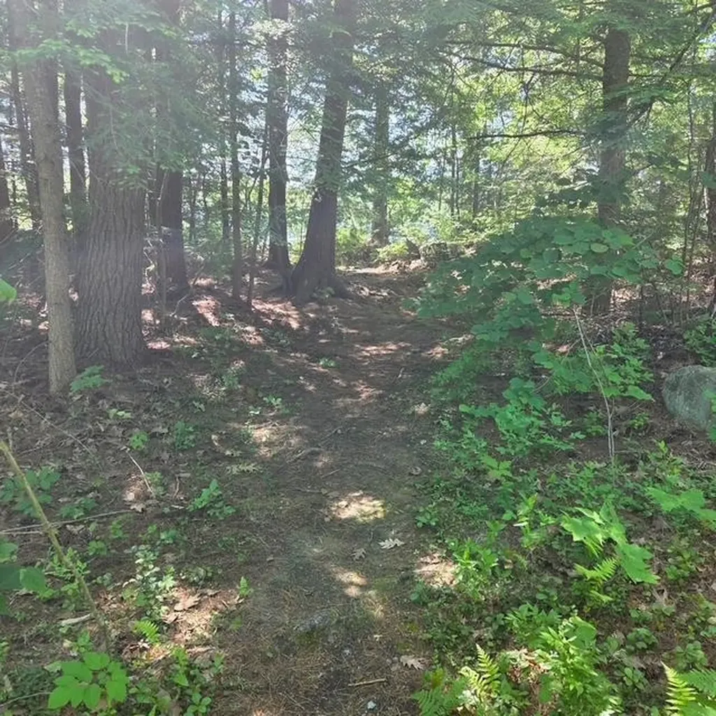 18 Gorham Drive Dunbarton NH 03046
