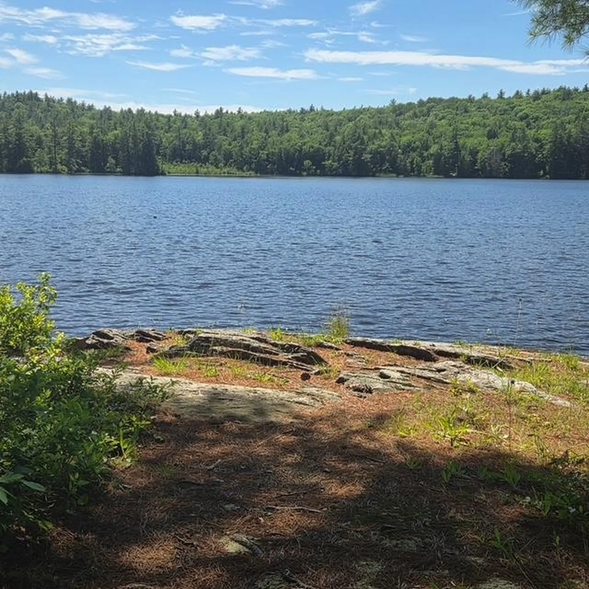 18 Gorham Drive Dunbarton NH 03046
