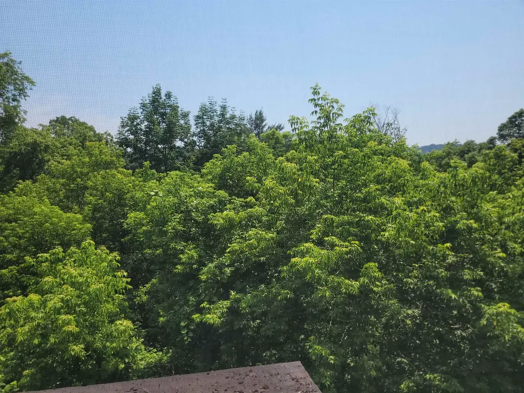 278 Pleasant Street St. Johnsbury VT 05819