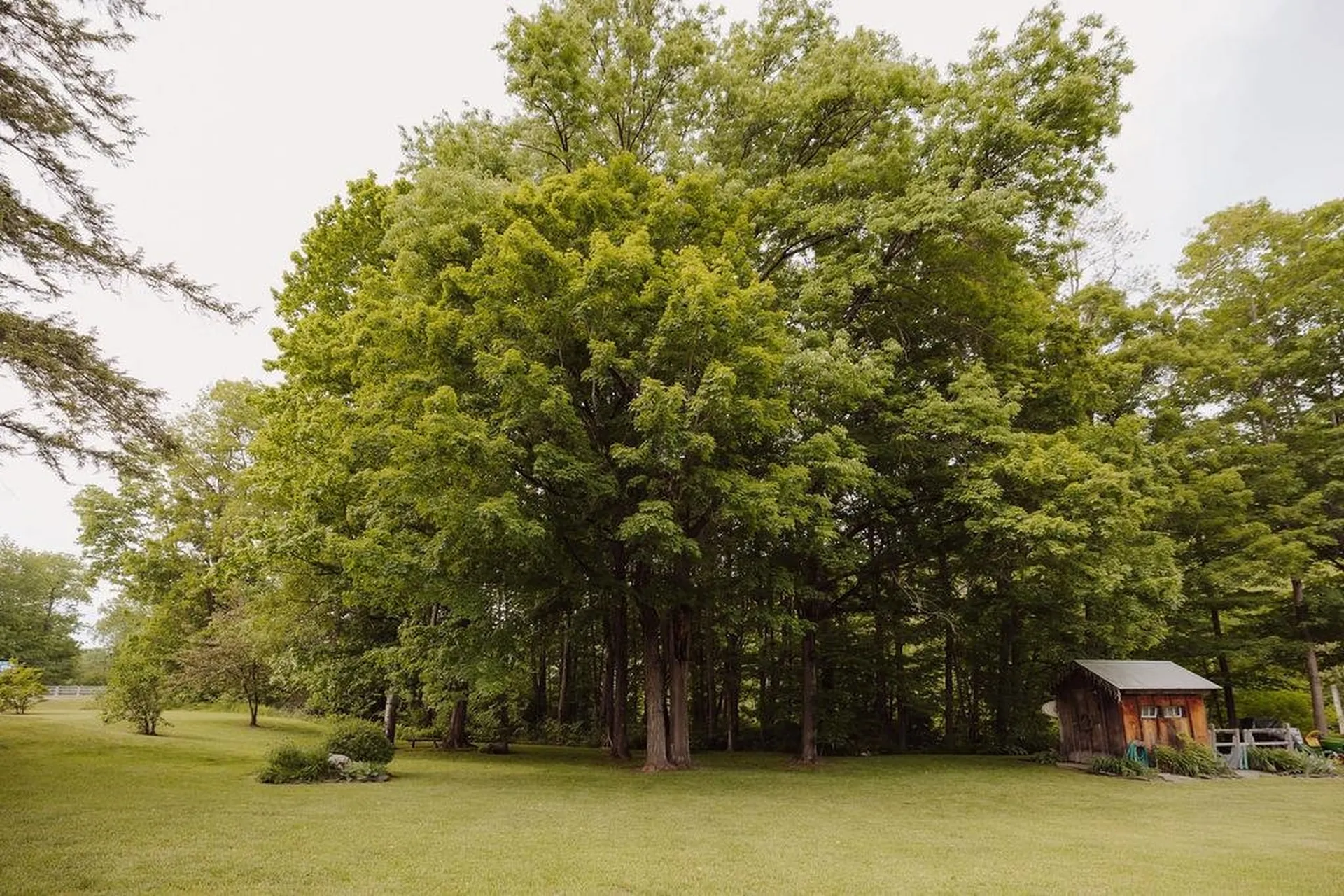 195 River Street Bethel VT 05032