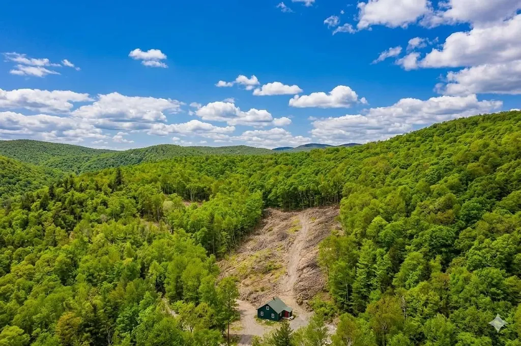 2650 Rupert Road Sandgate VT 05250