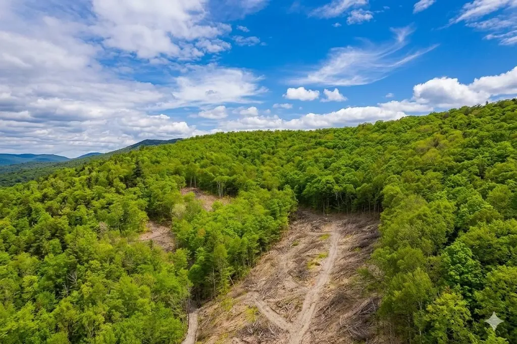 2650 Rupert Road Sandgate VT 05250