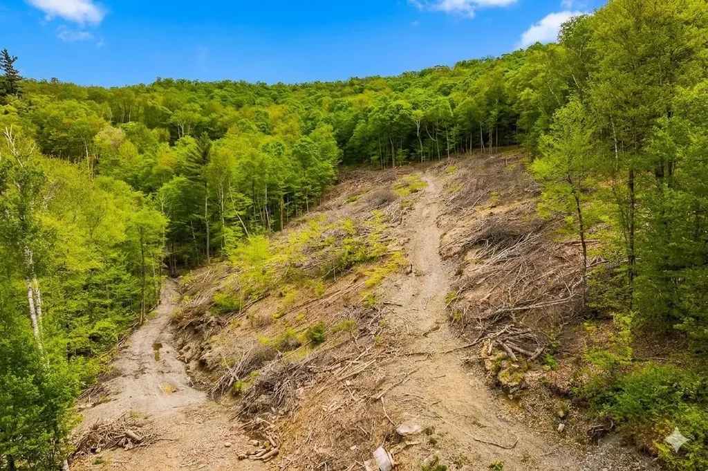 2650 Rupert Road Sandgate VT 05250