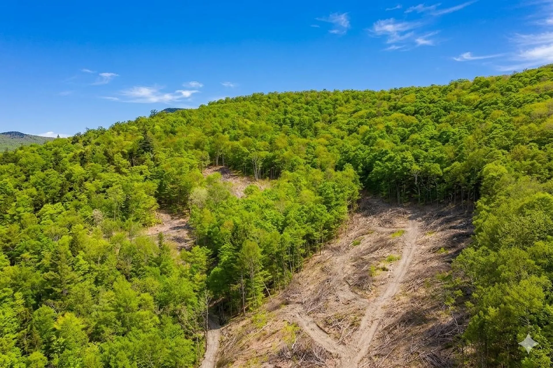 2650 Rupert Road Sandgate VT 05250