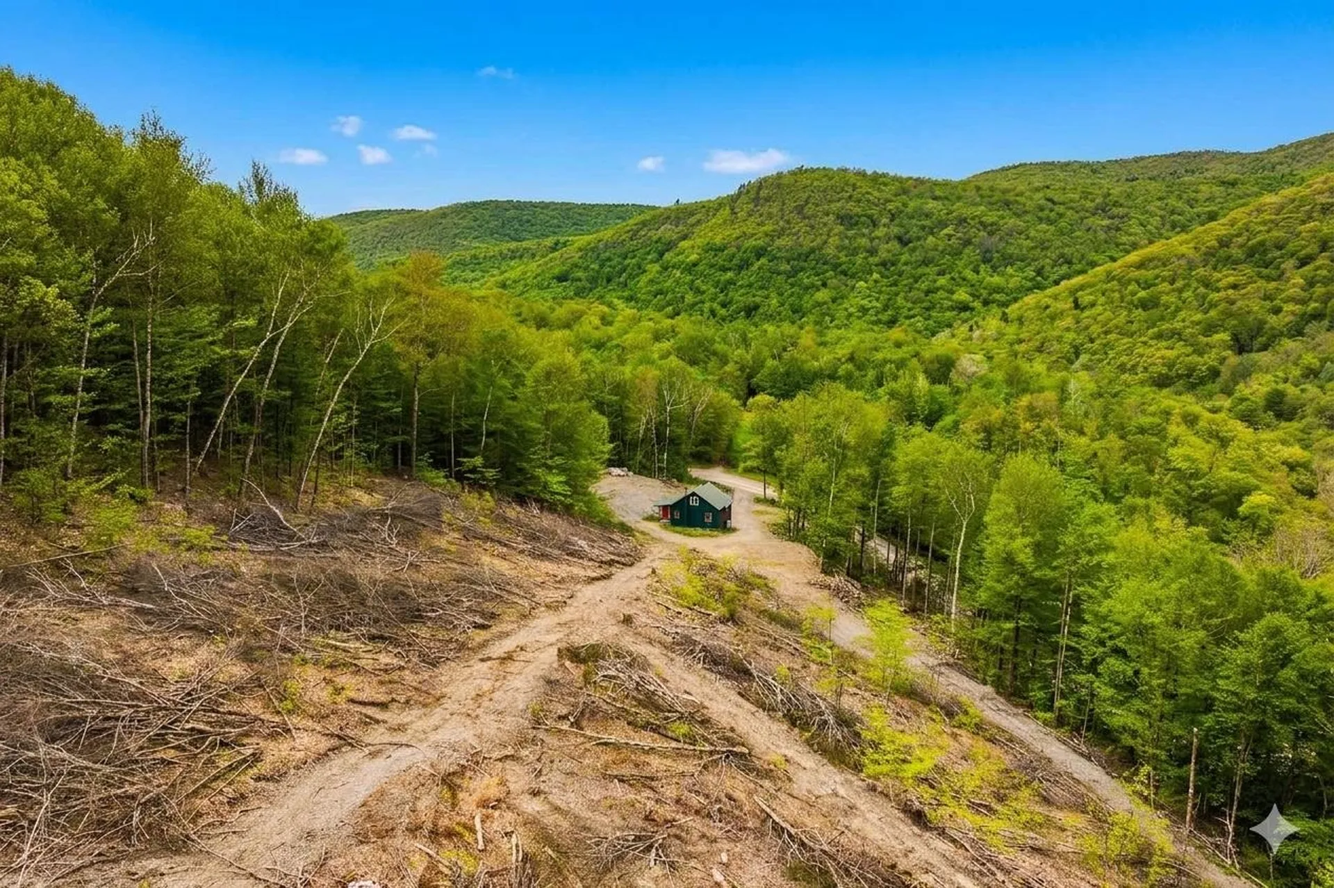 2650 Rupert Road Sandgate VT 05250