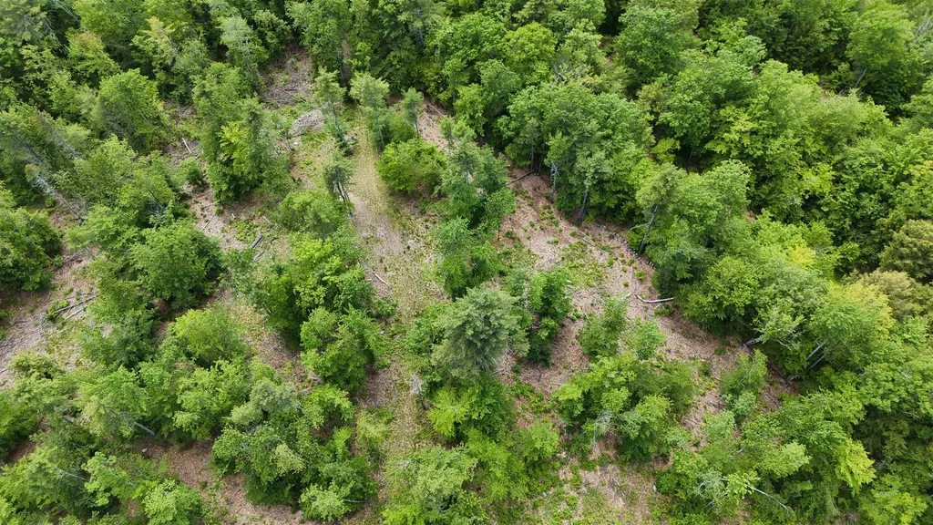 160 Browns Ridge Road Ossipee NH 03864