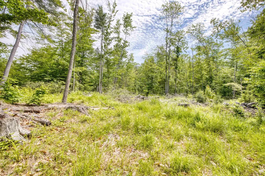 160 Browns Ridge Road Ossipee NH 03864