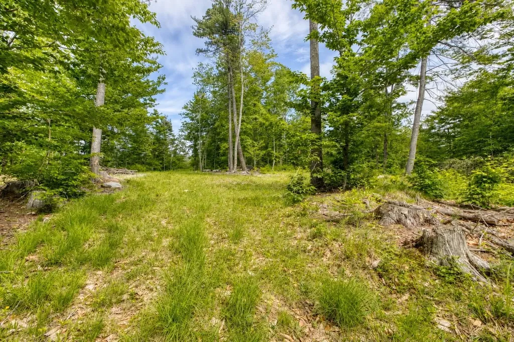 160 Browns Ridge Road Ossipee NH 03864