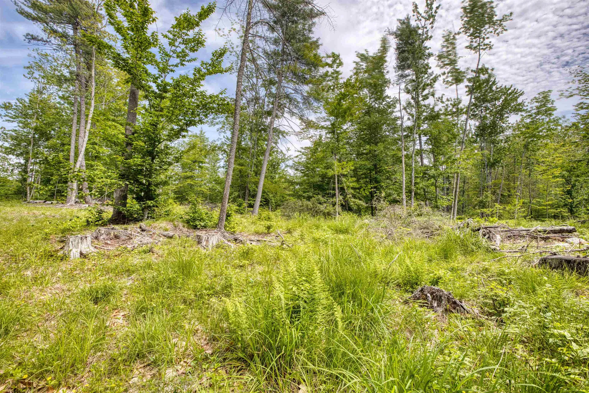 160 Browns Ridge Road Ossipee NH 03864