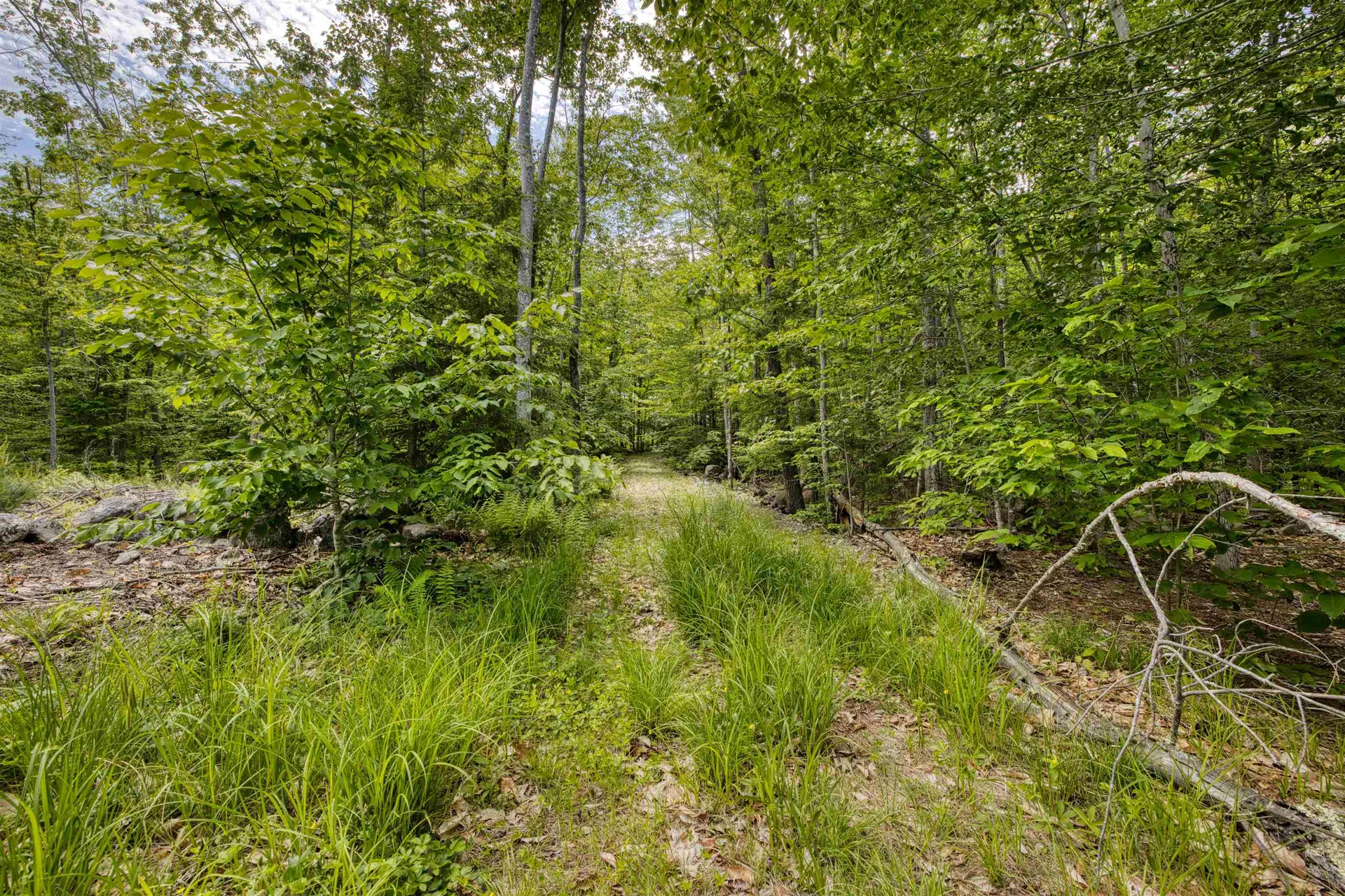 160 Browns Ridge Road Ossipee NH 03864