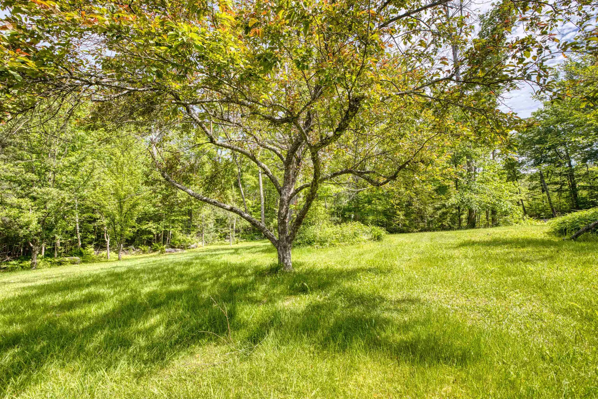 160 Browns Ridge Road Ossipee NH 03864