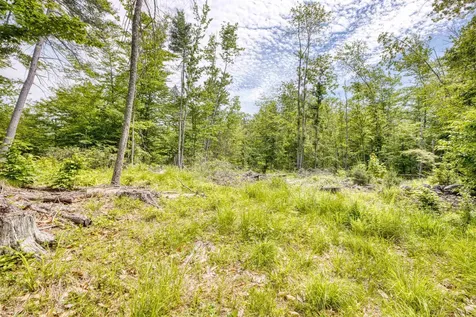 160 Browns Ridge Road Ossipee NH 03864