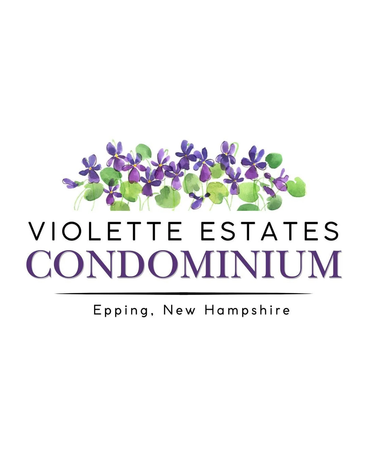 5B Violette Drive Epping NH 03042