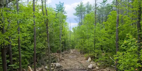 Lot 3 Winona Road Meredith NH 03253