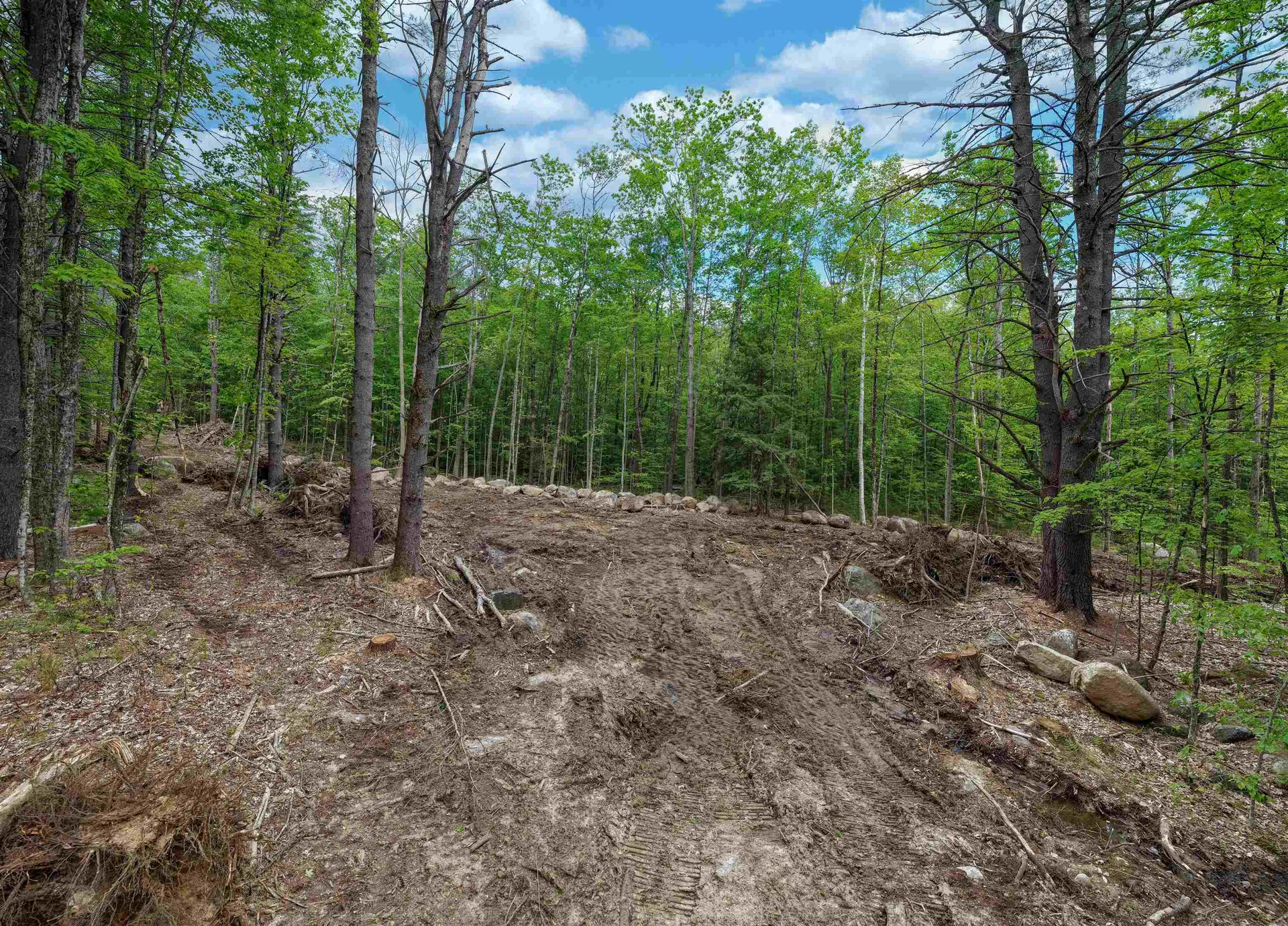 Lot 1 Winona Road Meredith NH 03253
