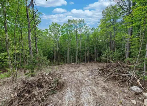 Lot 1 Winona Road Meredith NH 03253