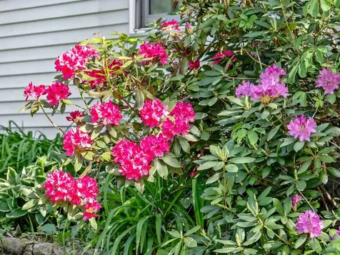 51 Gordon Drive Berlin VT 05602