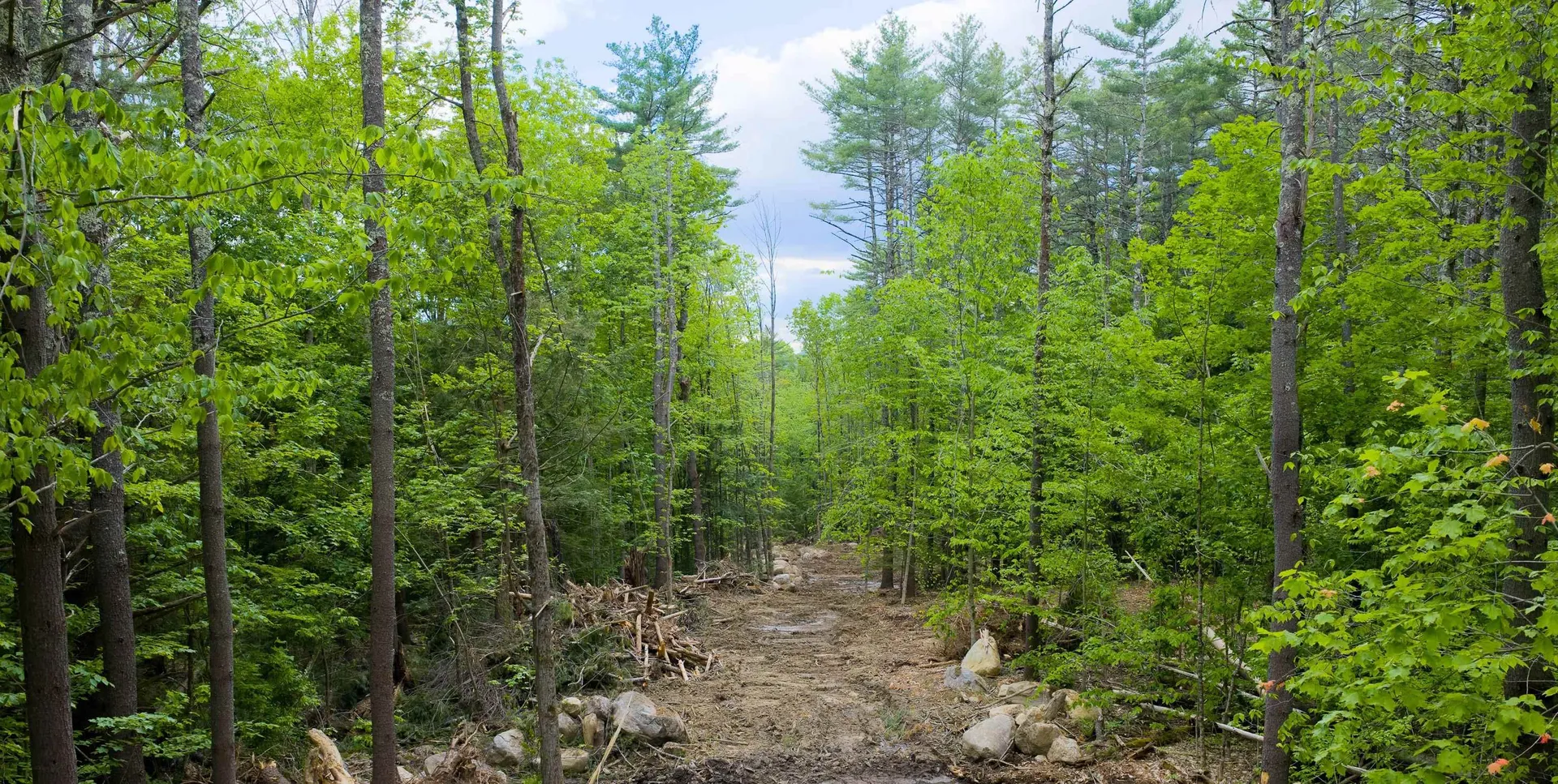 Lot 2 Winona Road Meredith NH 03253