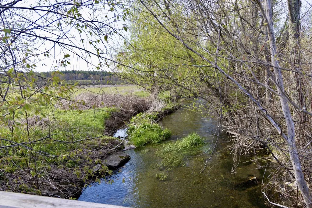 1333 Route 153 Pawlet VT 05775