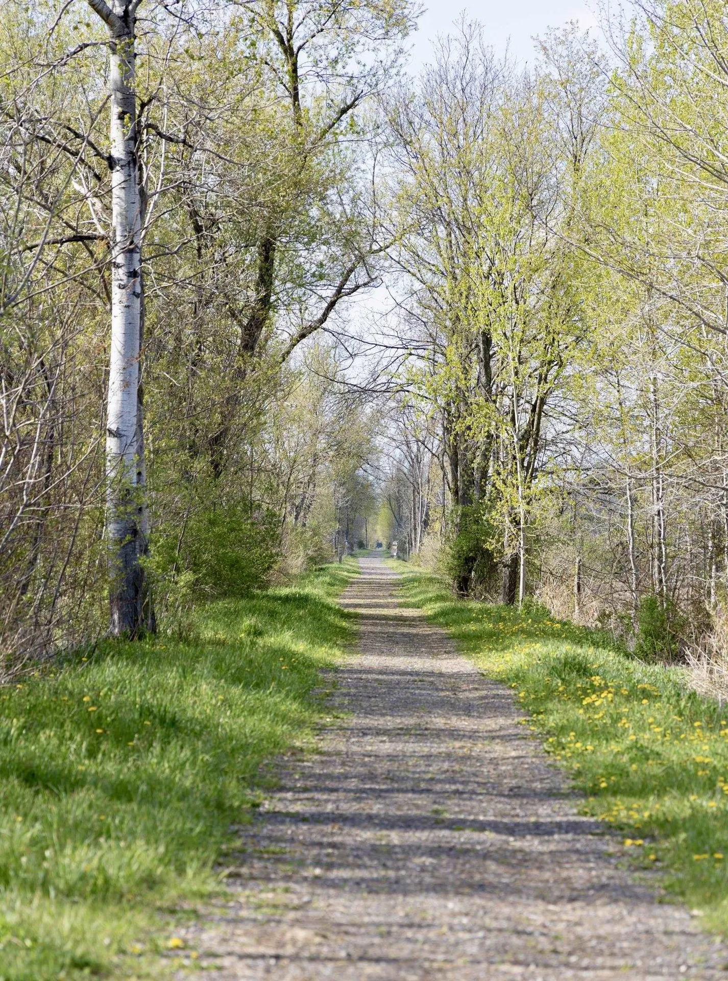 1333 Route 153 Pawlet VT 05775
