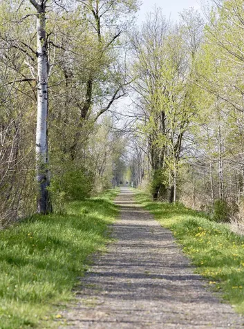 1333 Route 153 Pawlet VT 05775