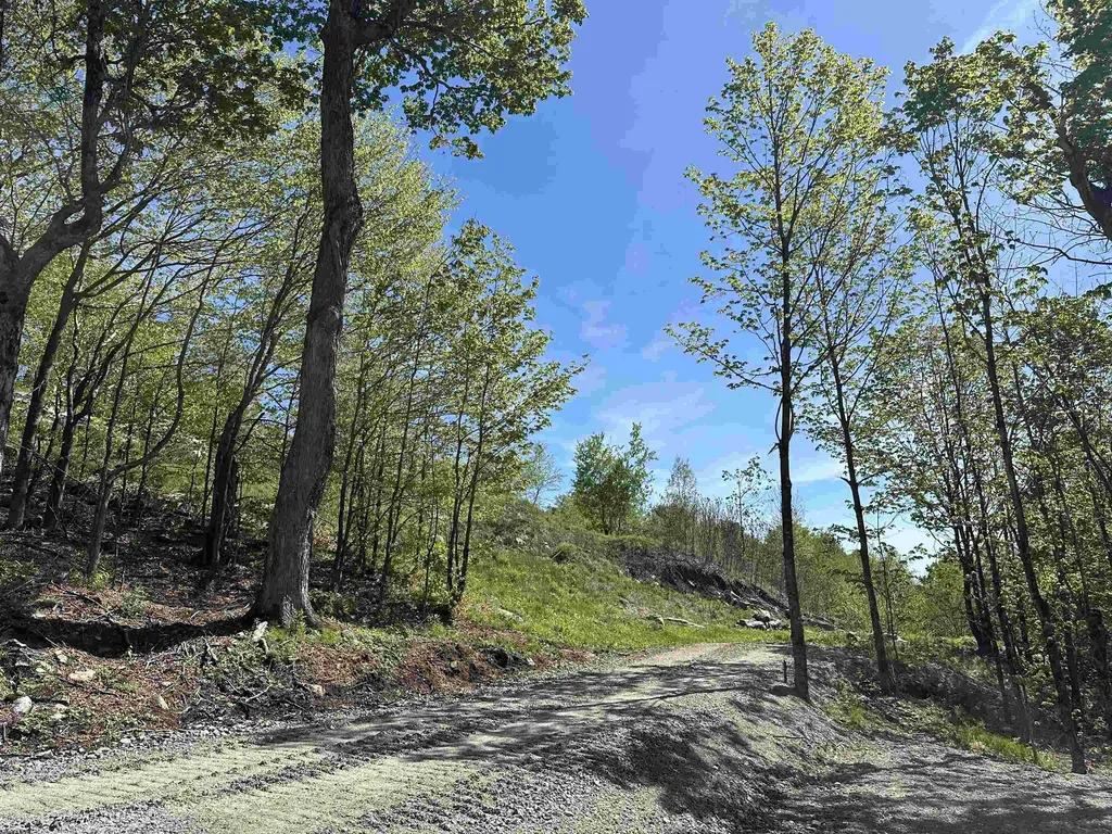 1992 Andover Ridge Road Andover VT 05143