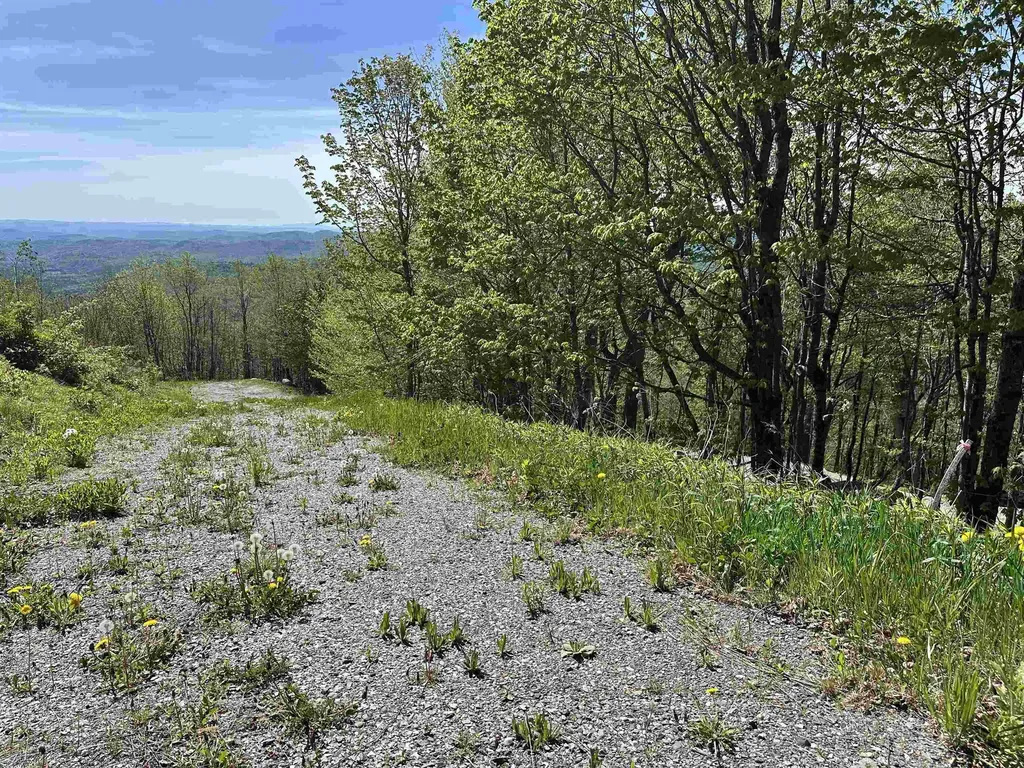 1992 Andover Ridge Road Andover VT 05143