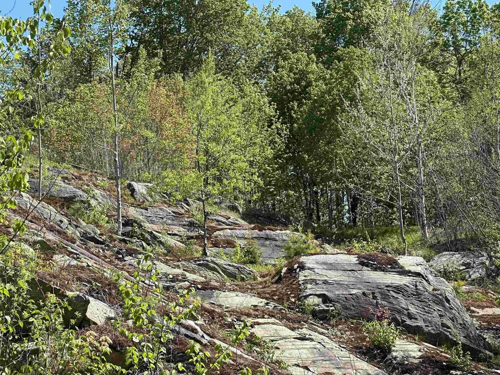 1992 Andover Ridge Road Andover VT 05143