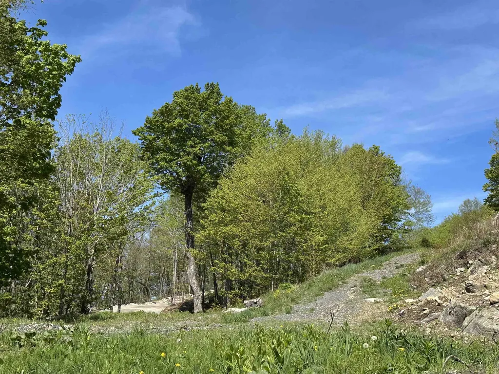 1992 Andover Ridge Road Andover VT 05143