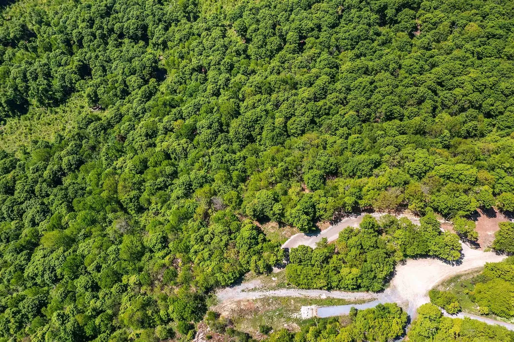 1992 Andover Ridge Road Andover VT 05143
