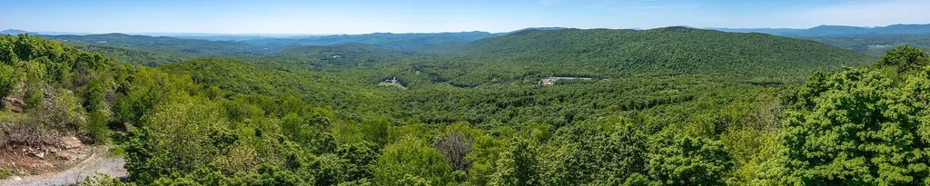 1992 Andover Ridge Road Andover VT 05143