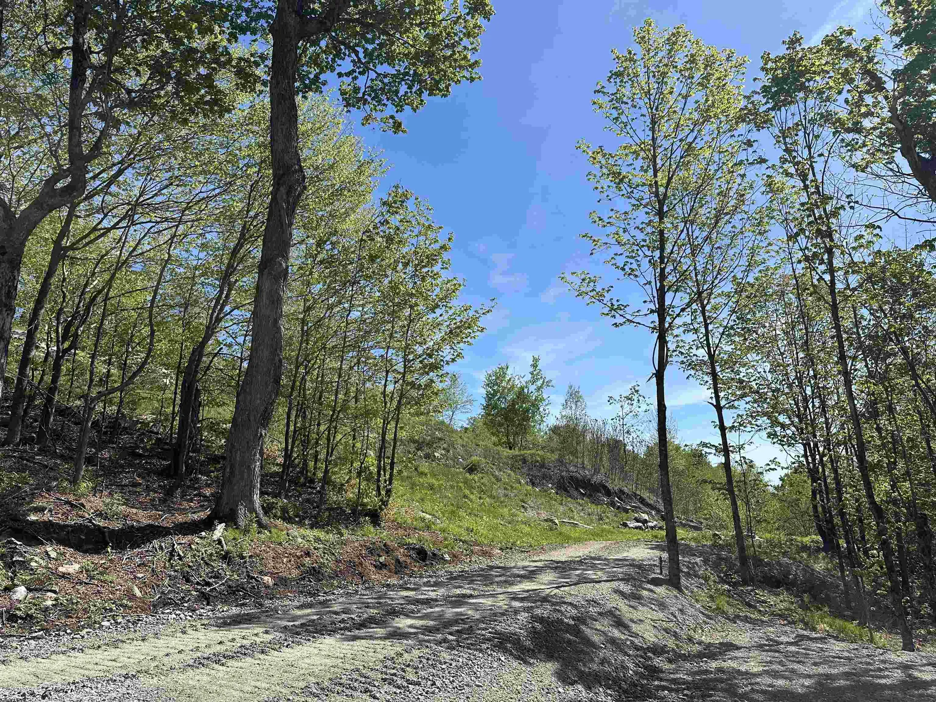 1992 Andover Ridge Road Andover VT 05143